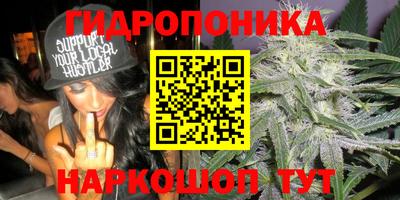 прущая мука Будённовск