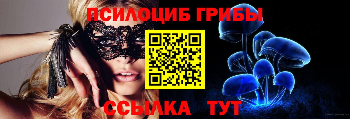 Псилоцибиновые грибы прущие грибы Назарово
